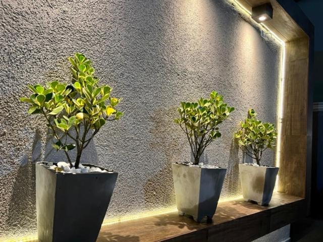Marmeu Tropical Apartment Guaruja Ngoại thất bức ảnh
